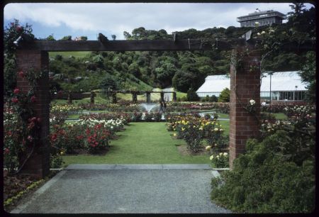 Lady Norwood Rose Garden, 1975