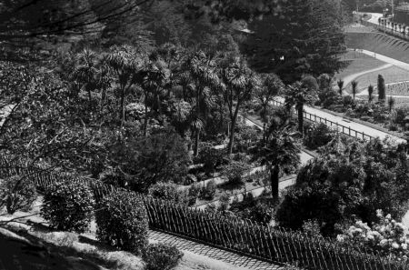 James Hector's Teaching Garden