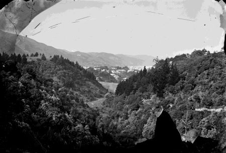 Honeyman's Gully, Thorndon