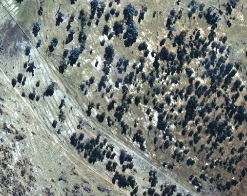 Aerial Photo of Part of Injune site.