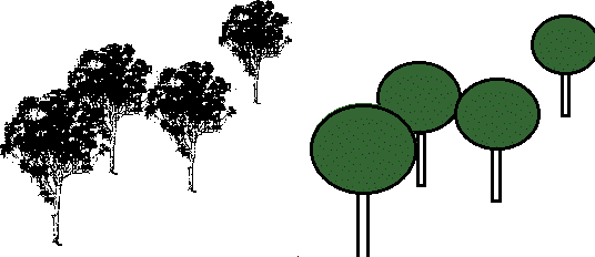 Picture of real and model stand of trees 