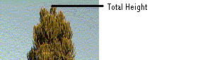 Total-height